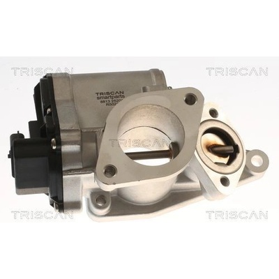 AGR - Ventil TRISCAN 8813 25201