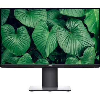Dell P2419H