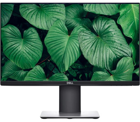 Dell P2419H