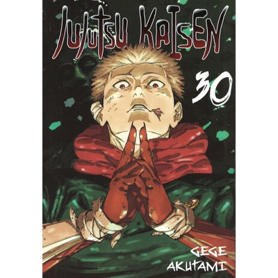 Jujutsu kaisen. Tom 30