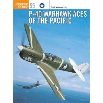 P-40 Warhawk Aces of the Pacific | Carl Molesworth
