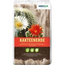 Gramoflor Substrát Kaktusy 5 l