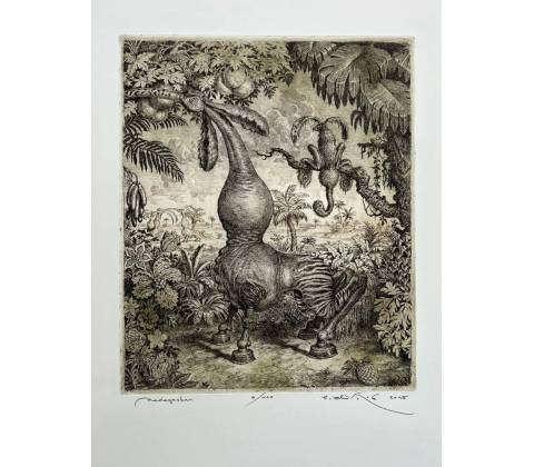 Peter Kľúčik, Madagaskar
