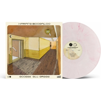 Karate Boogaloo - ACCESS ALL AREAS Vinyl