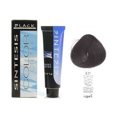 Black Sintesis barva na vlasy 2.01 100 ml