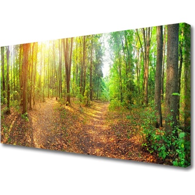 Obraz Canvas Slnko príroda lesné chodník 100x50 cm