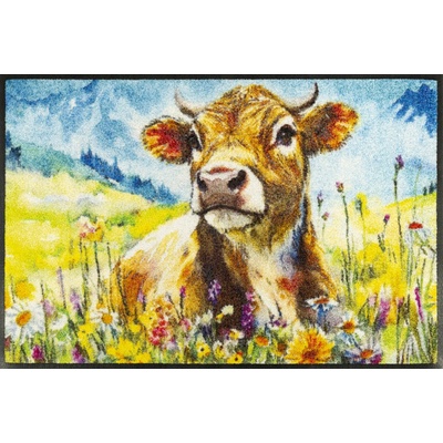 wash+dry Lotti 50x75 cm