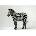 Pohlednice Zebra 1