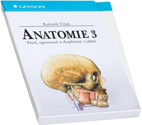 Anatomie 3
