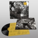 Hello, Hi - Ty Segall LP