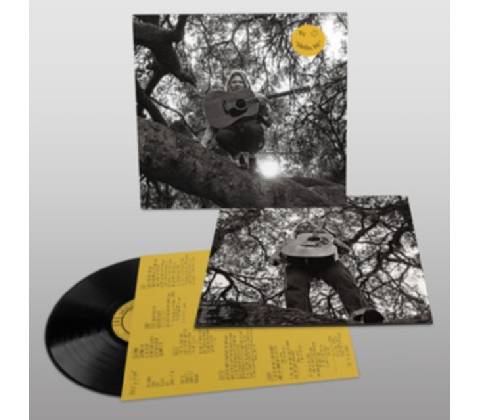 Hello, Hi - Ty Segall LP