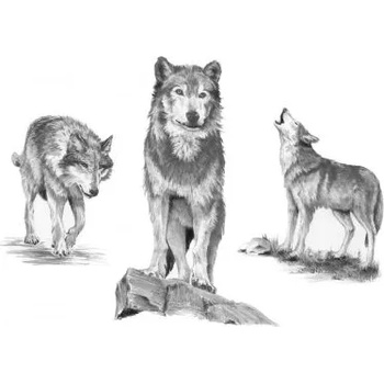 Image 1 of Royal & Langnickel - Творчески комплект за графика - Вълци (SKBNL2)