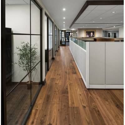 Bjelin Ořech Humlarp Woodura 4 ks 1,81 m²