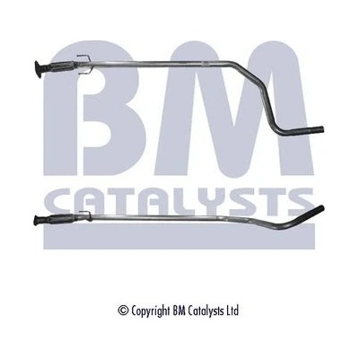 BM CATALYSTS BM50101
