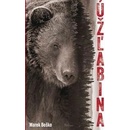 Úžlabina