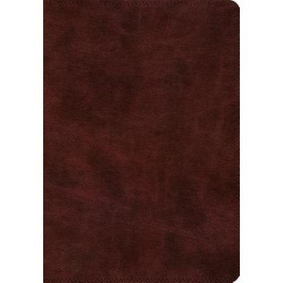 ESV Super Giant Print Bible