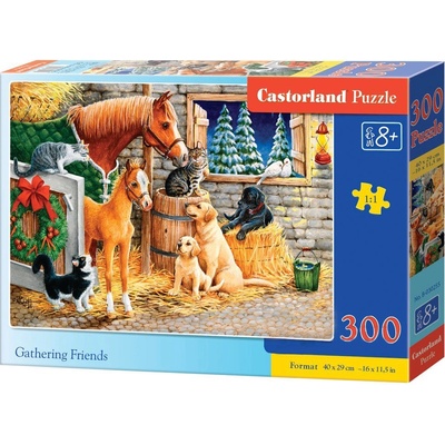 Castorland Пъзел Castorland от 300 части - Събиране с приятели (B-030255)