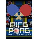 Ping Pong
