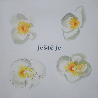Vladimír Javorský a Marian Friedl - Ještě je LP