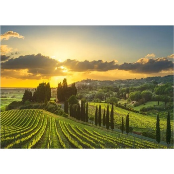 Dino - Puzzle Maremma vineyards XXL - 500 piese