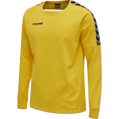 Hummel AUTHENTIC TRAINING Sweat 205373-5001