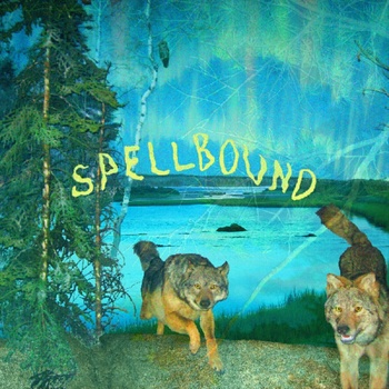 Boyscott Spellbound LP