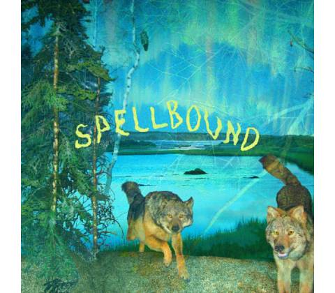 Boyscott Spellbound LP