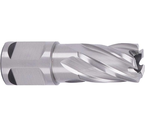 ABSE N-HS-W19-0180025