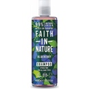 Faith in Nature šampon Borůvka 400 ml