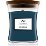 WoodWick Antiquarium ароматна свещ 275 гр