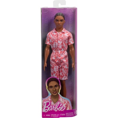 Barbie Fashionistas ŠTÝLOVÝ KEN Č. 235 HYT99