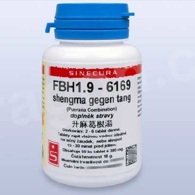 Sinecura FBH1.9 shengma gegen tang 60 tabliet