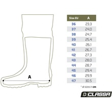 Delphin Prsačky CLASSA