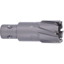 ABSE N-CA-F18-0280050