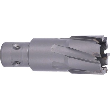 ABSE N-CA-F18-0280050
