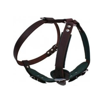 PROFIZOO Kožený postroj JAGO