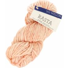 Malabrigo Rasta Melon 707