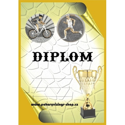 VIZINGR Duatlon muži diplom A4 č.11