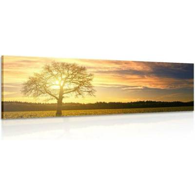 Obraz osamělého stromu - 120x40