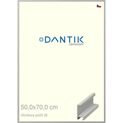 DANTIK rám na obraz 50 x 70 Dýha barevná šedá