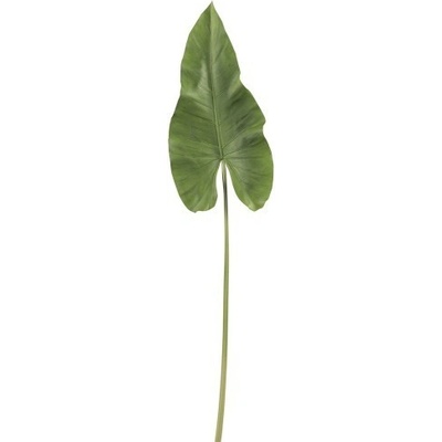 Okrasný list Canna - 94cm - J-Line by Jolipa