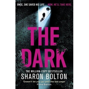 Dark (ISBN: 9781409198369)