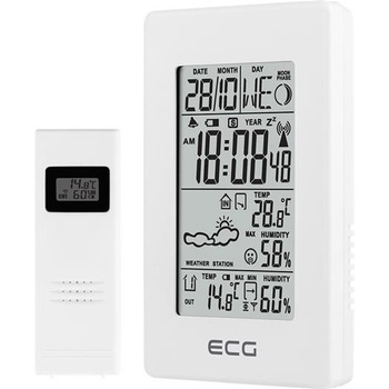 ECG MS 100