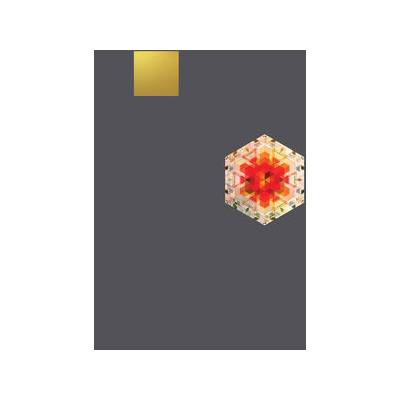 Gold Panda - Half Of Where You Live CD