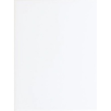 Adex STUDIO Liso 9,8 x 19,8 cm Snow Cap 1,08m²
