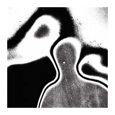 Lunacy - Universal Pressure LP