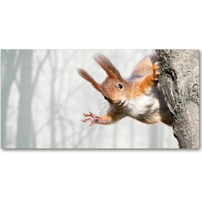 Foto-obraz na skle horizontálne tropická pláž 100x50 cm