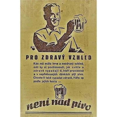 Pro zdravý vzhled - není nad pivo - ceduľa 30cm x 20cm Plechová tabuľa