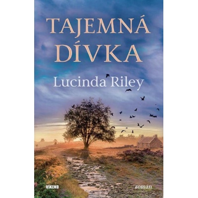 Tajemná dívka
