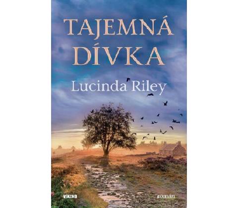 Tajemná dívka